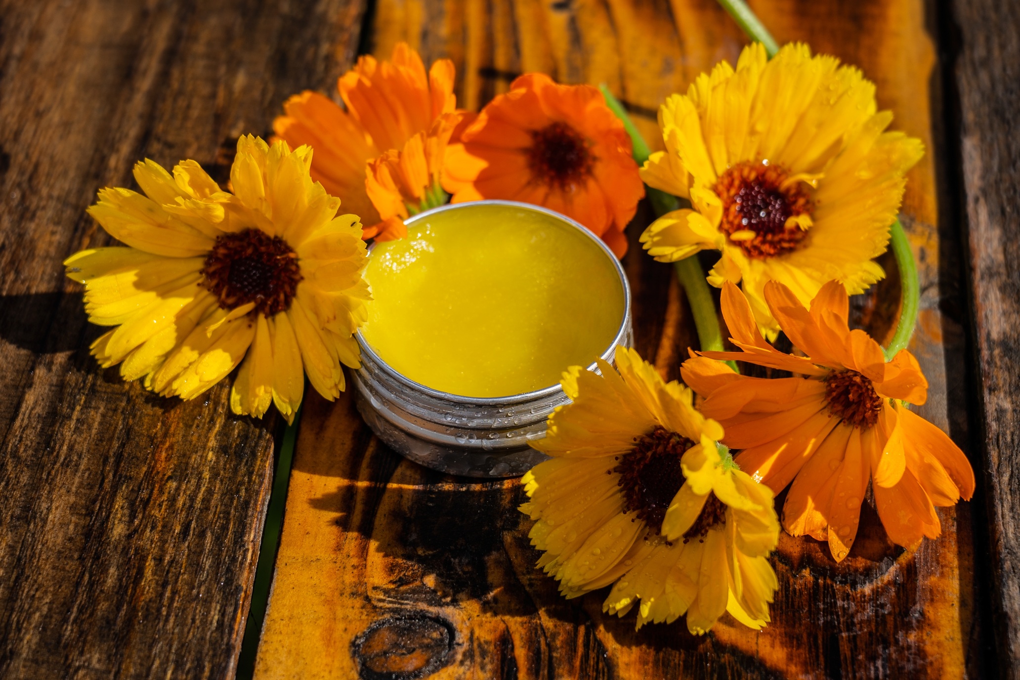 Herbal first aid balm recipe